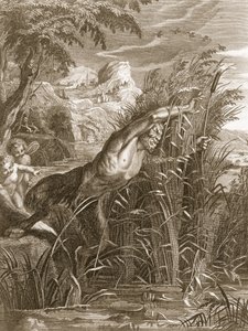 Pan Pursues Syrinx: She is Transformed into a Reed, 1731 by Bernard Picart